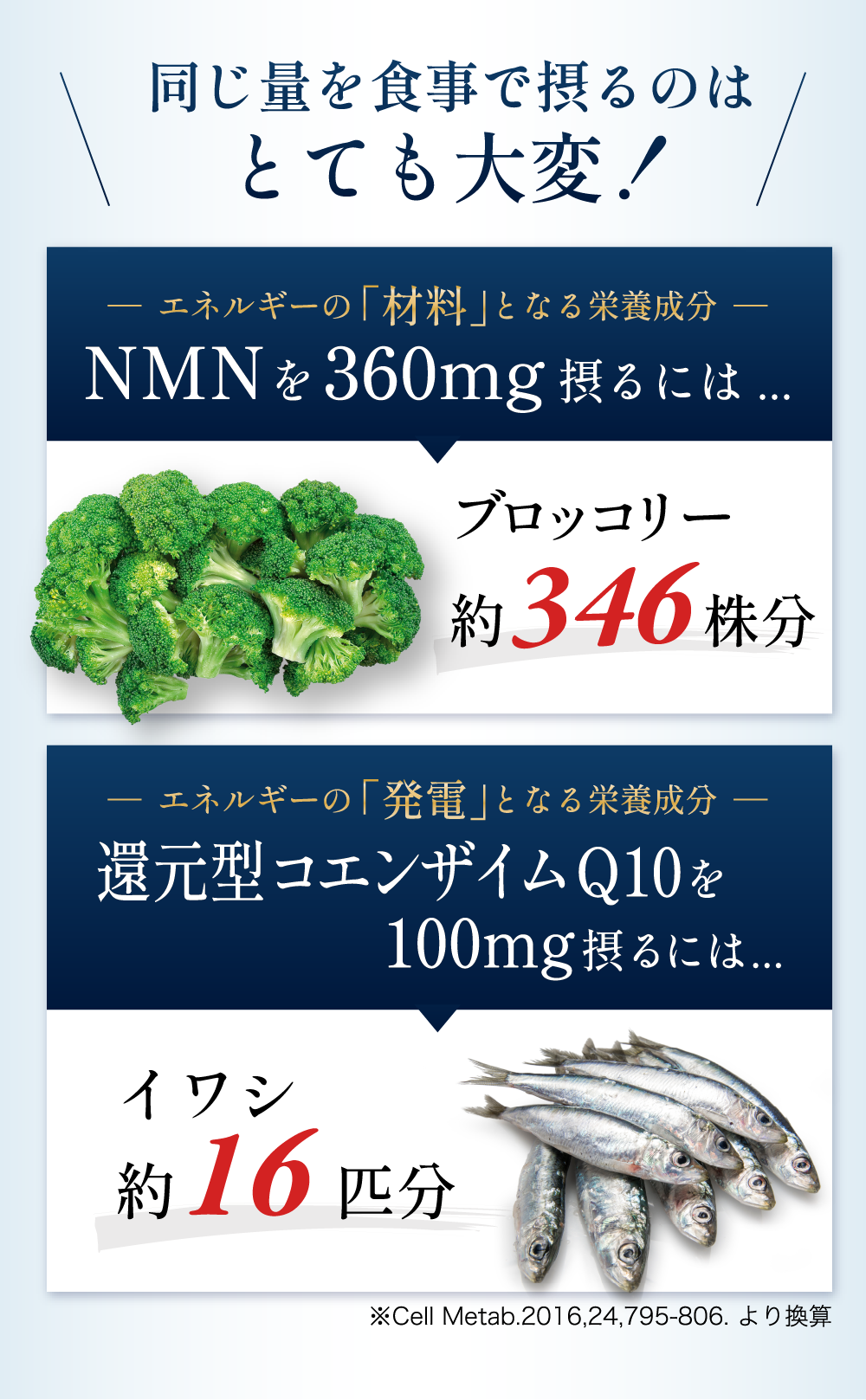 NMN350mgはブロッコリー約330株分、還元型コエンザイムQ10 100mgはイワシ約16匹分に相当
