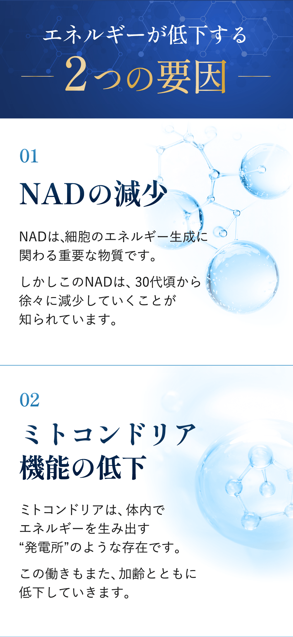 エネルギー低下の2つの要因 NADの減少とミトコンドリア機能の低下