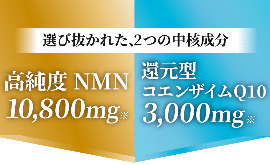 高純度NMN10800mgと還元型コエンザイムQ10 3000mgを配合したNMNサプリメント